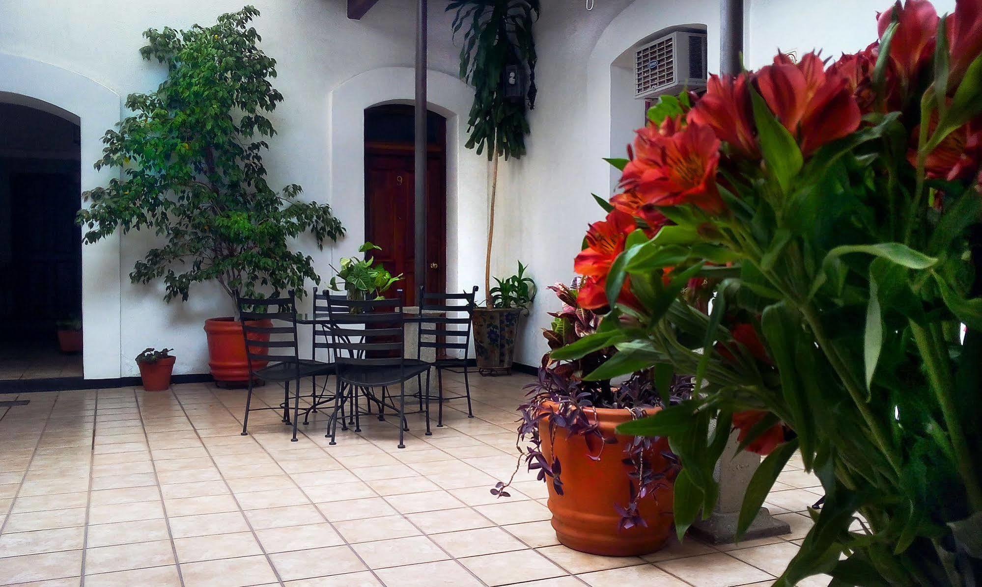 Capital O El Nito Posada Oaxaca 外观 照片